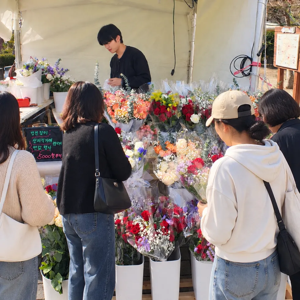 강진군, 갈대축제 기간 장미 반값 직거래 판매
