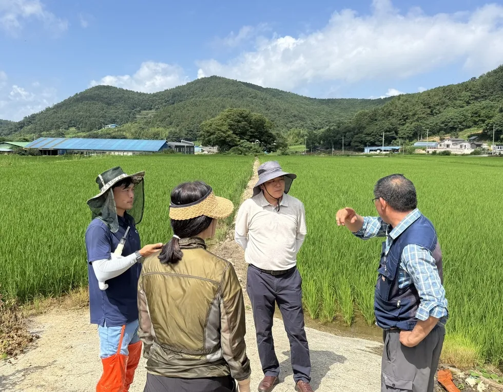 강진군, 폭염 속 벼 병해충 적기 방제 총력 - 경제 | 코리아NEWS