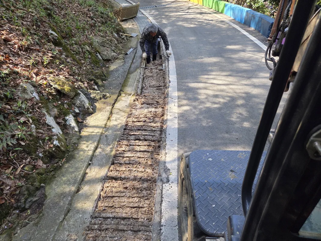 장마철 안전 확보…고흥군, 봉황산 산책로 정비 완료