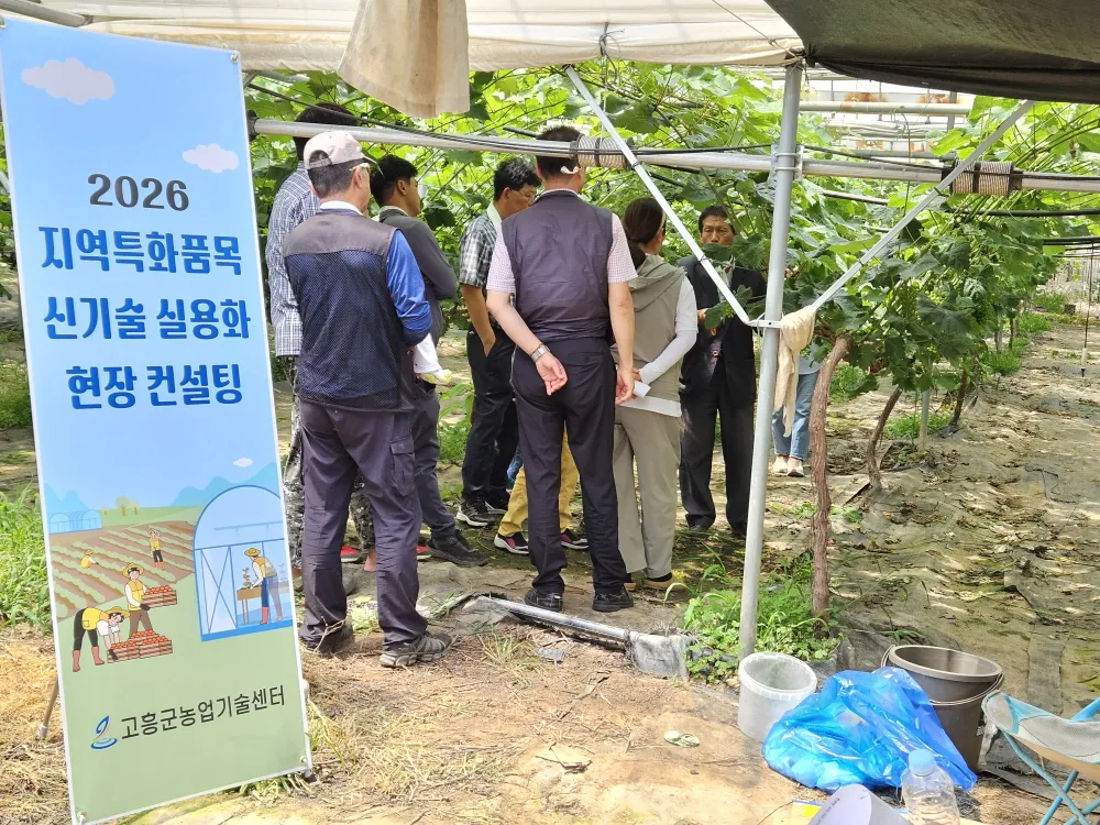 고흥군, 샤인머스켓 품질 향상·경쟁력 강화 위해 현장 컨설팅