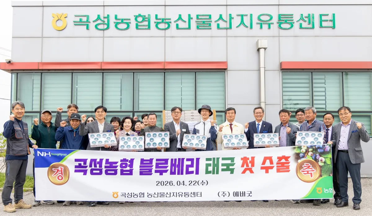 곡성 블루베리, 2026년 태국 첫 수출…동남아 시장 진출 ‘신호탄’ - 경제 | 코리아NEWS