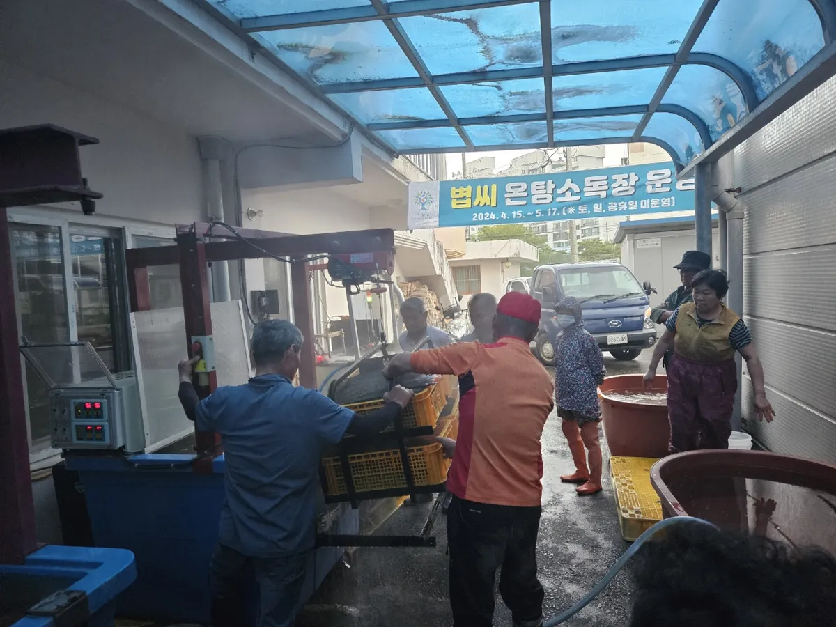 농약 없이 안심하고 쌀 생산, 곡성군 볍씨 온탕소독 지원