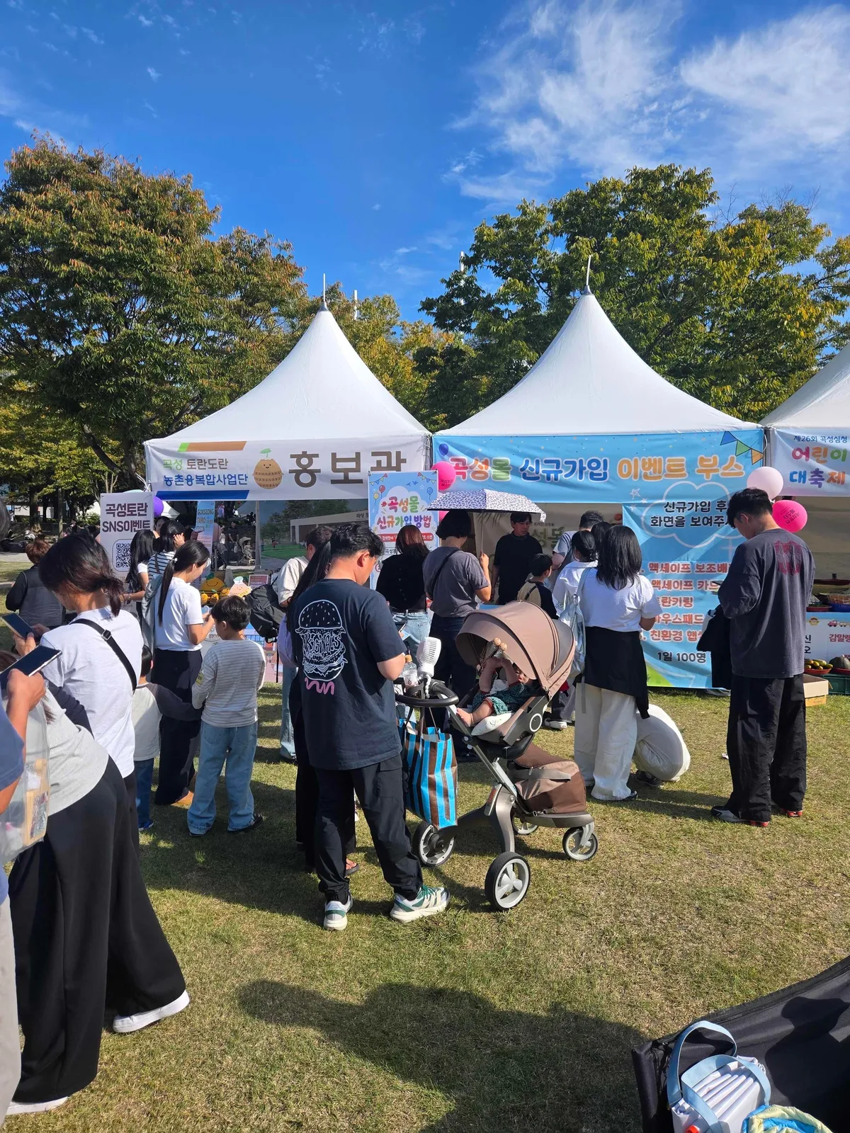 곡성토란도란사업단, 심청어린이대축제서 토란 홍보 성과