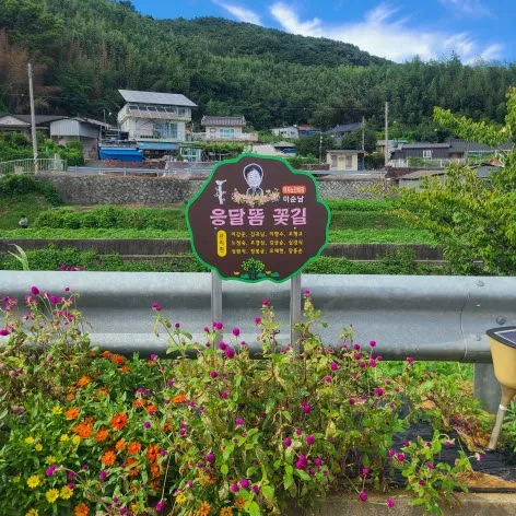 곡성군, 주민 손으로 가꾼 으뜸마을 최종 5곳 선정 - 행정 | 코리아NEWS