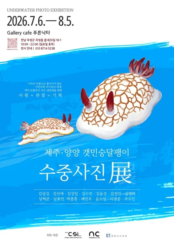 바다의 보석 ‘갯민숭달팽이’, 곡성에서 그 낭만을 선사합니다