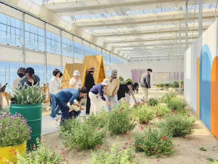 수확하고 향기 맡고…광주시민, ‘치유농업’ 만족도 96.2점 ‘폭발’ - 경제 | 코리아NEWS