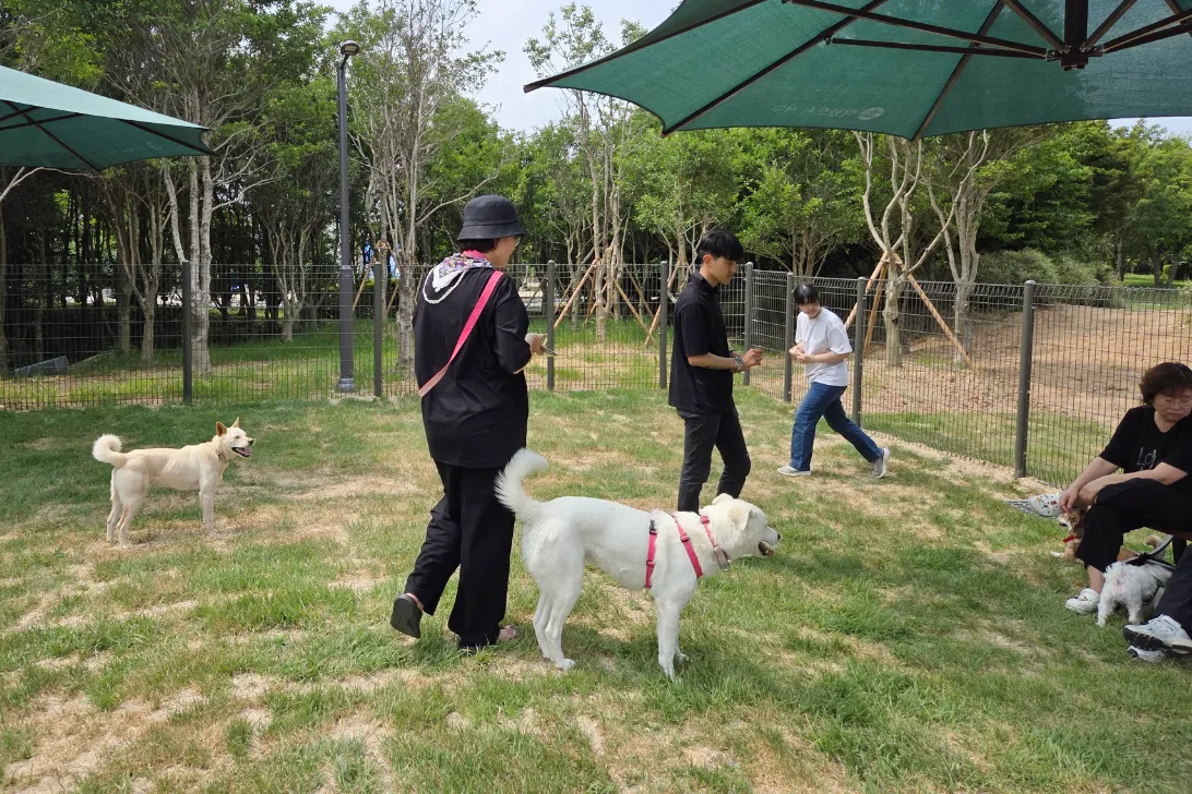 광주 서구, 최초 공공 반려견놀이터 30일 개장…QR출입 도입