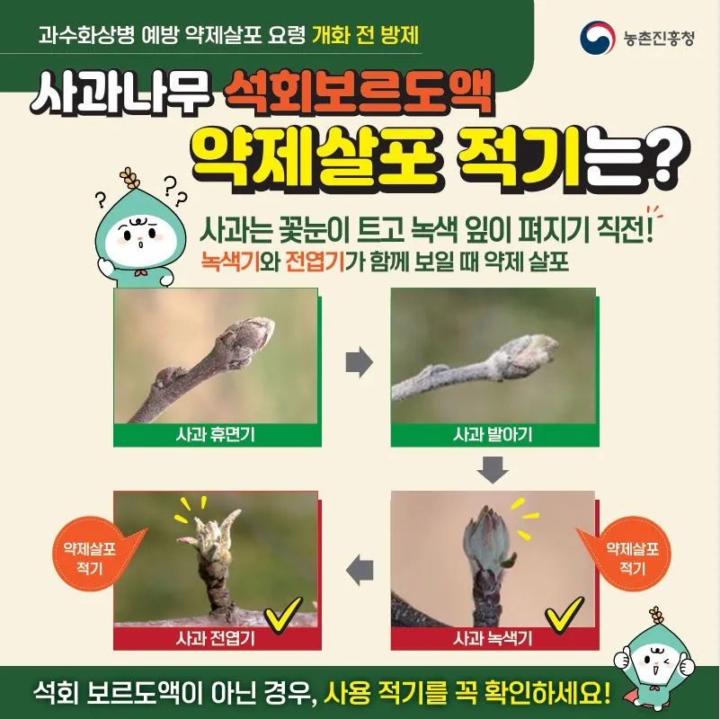 광양시, 치명적인 ‘과수화상병’ 차단…사과·배 농가 약제 지원 - 안전 | 코리아NEWS