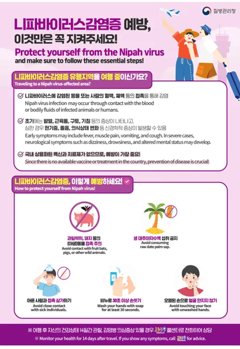 해외여행객 주의보... 치명률 75% '니파바이러스' 유입 경계