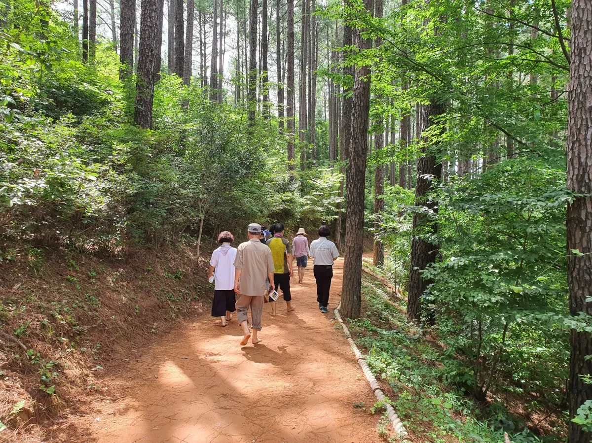 백운산휴양림 여름 숲해설 특별프로그램, 다양한 생태 체험 진행