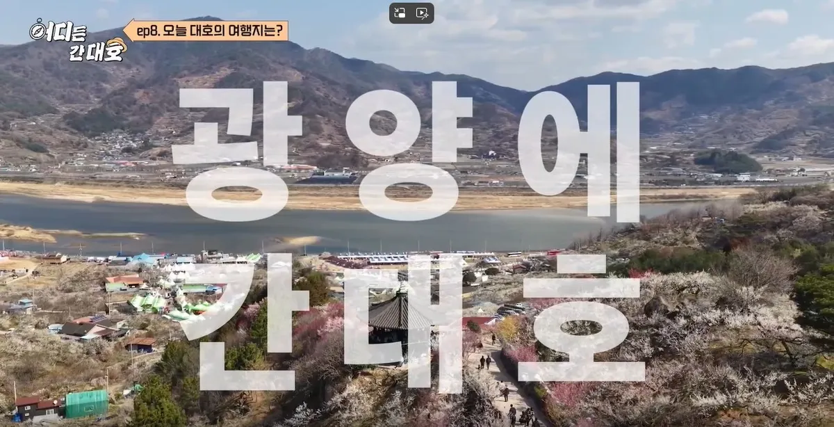 방송인 김대호가 찾은 ‘광양의 봄’, 매화축제부터 벚굴까지 화제
