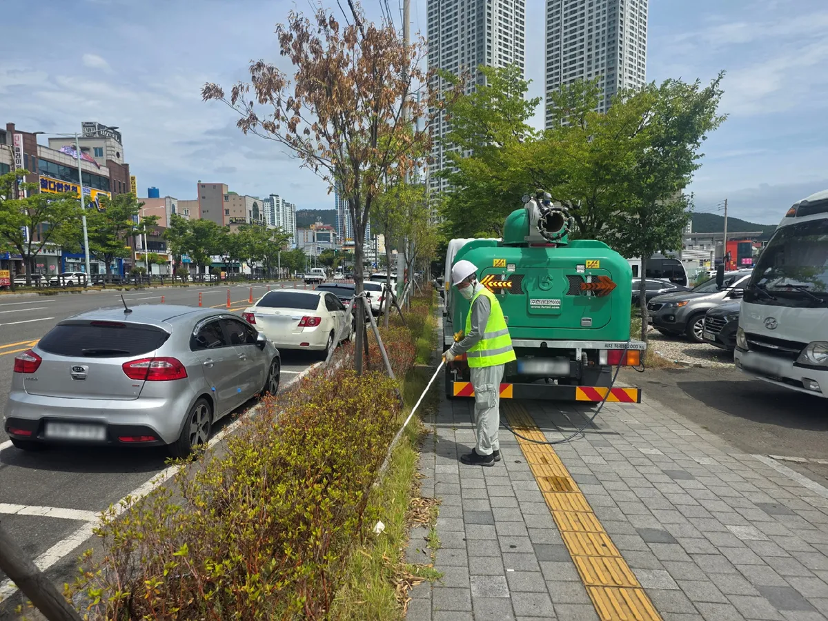 광양시, 폭염·가뭄 대응 도심 가로수 집중 관수