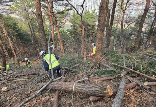 광양시, 서산 어울길 860m 연장…시민의 숲길 복지 확대