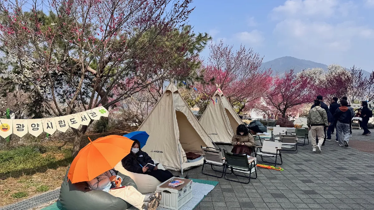 광양매화축장 속 ‘비밀의 정원’, 힐링 독서공간으로 폭발적 인기