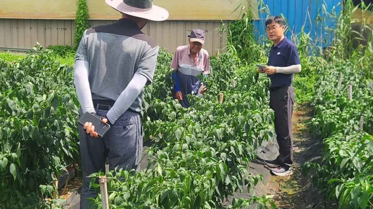 함평군 농업기술센터, 영농철 현장 밀착 기술지원 호응