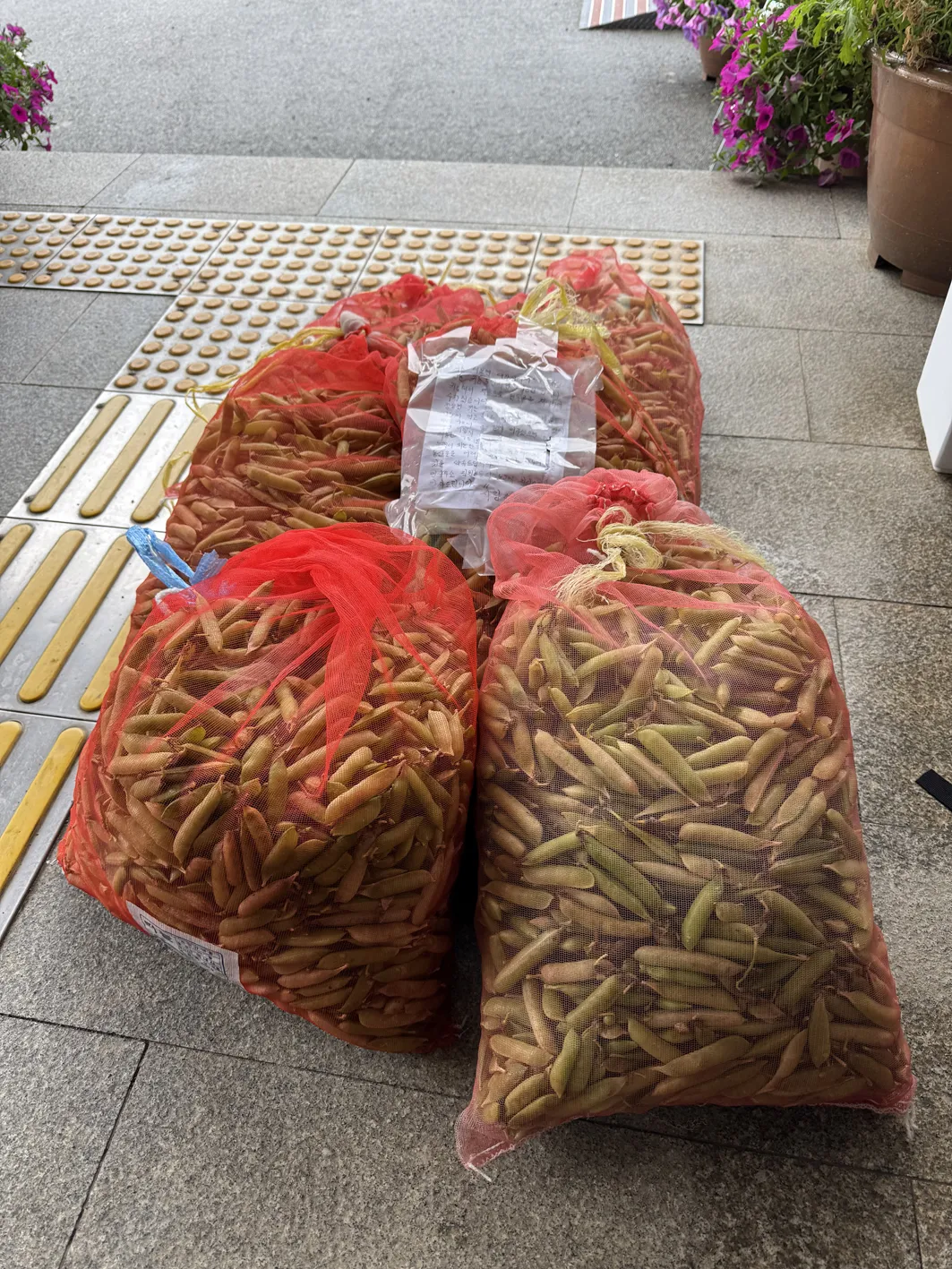 “직접 키운 완두콩 어려운 이웃과 나눠요”…함평군 해보면, 익명 기부 감동 전해