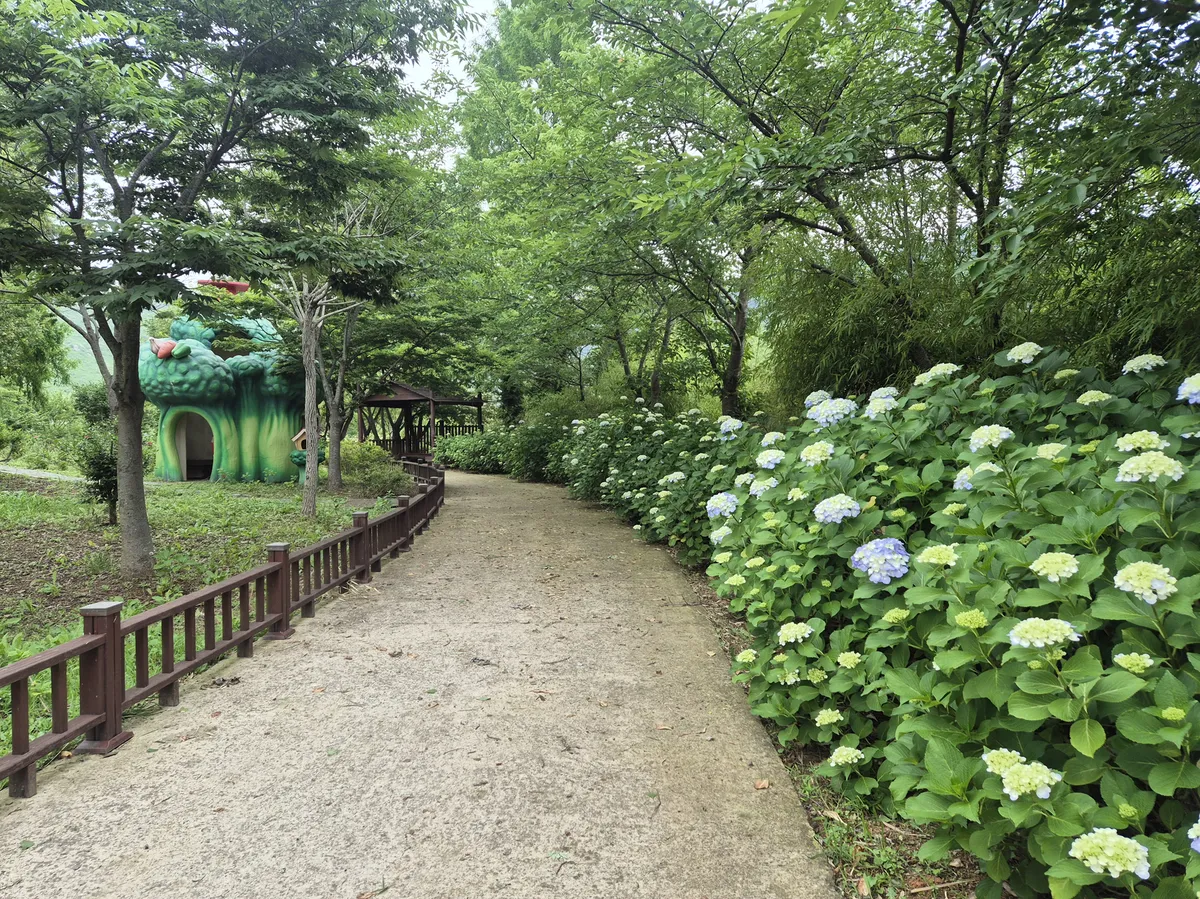 함평자연생태공원, 형형색색 수국 만개…초여름 정취 만끽하세요