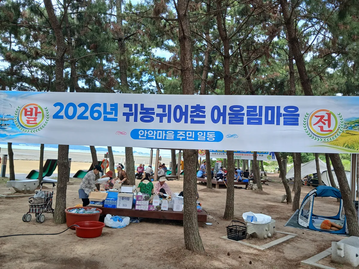 귀농인과 주민이 하나된 ‘손불면’…화합 위한 어울림 한마당 - 문화 | 코리아NEWS