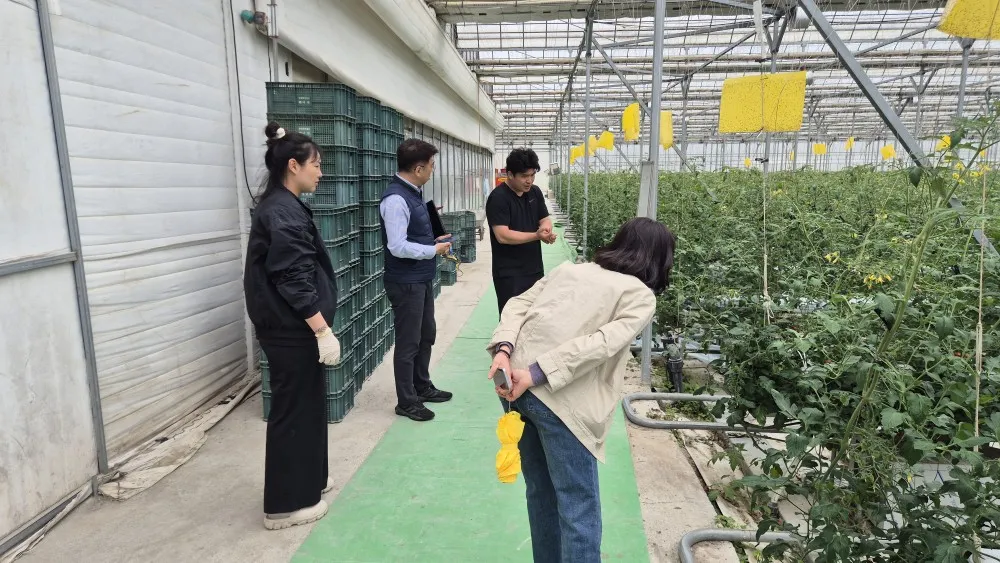 화순군, 검역병해충 확산 차단 총력…도 합동 현장점검 실시
