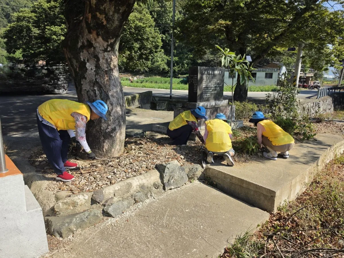 화순군, 노인일자리 조기집행 평가 최우수 기관 선정