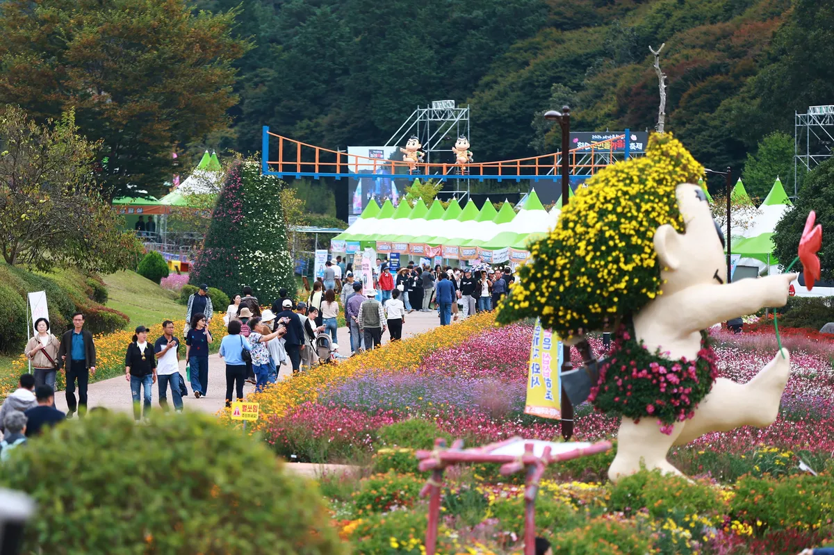 화순 고인돌 가을꽃 축제 10일 만에 폐막...가을꽃 전시는 11월 15일까지 무료