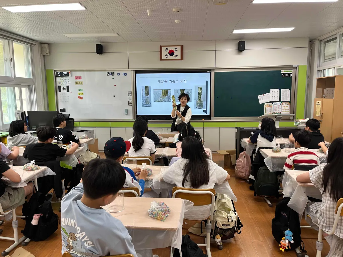 화순군 학교4-H 과제활동 마무리…6개교 학생 454명 농업 체험