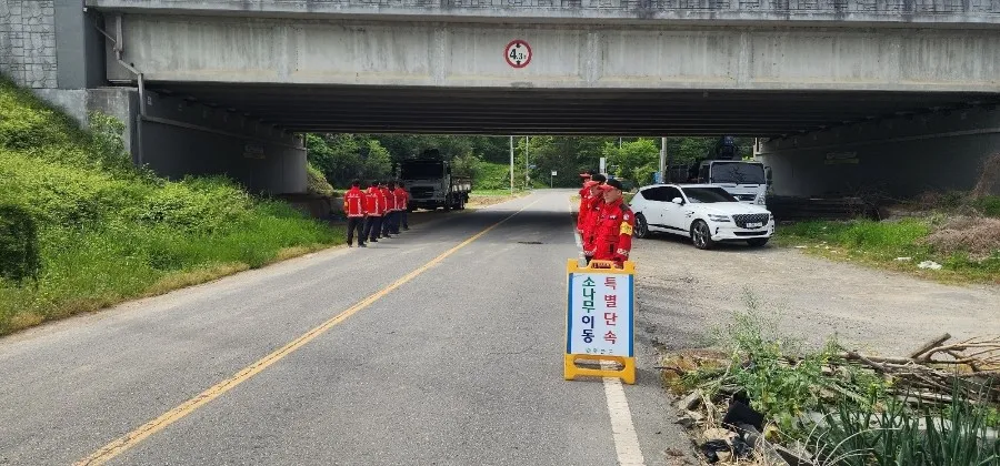 화순군, 소나무재선충병 확산 차단…무단이동 특별단속 실시