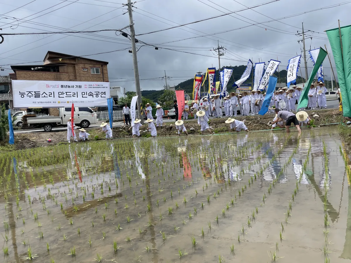 화순군, 27일 ‘능주들소리 만드리’ 공연…전통 농경문화 재현