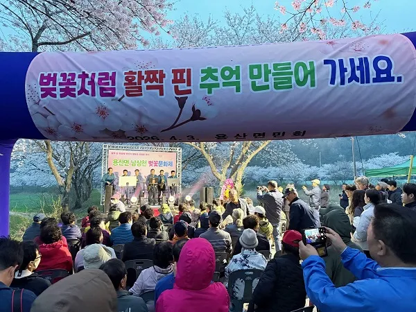 장흥 남상천 벚꽃 문화제, 주민과 관광객이 함께한 축제로 성황리 마무리 - 문화 | 코리아NEWS