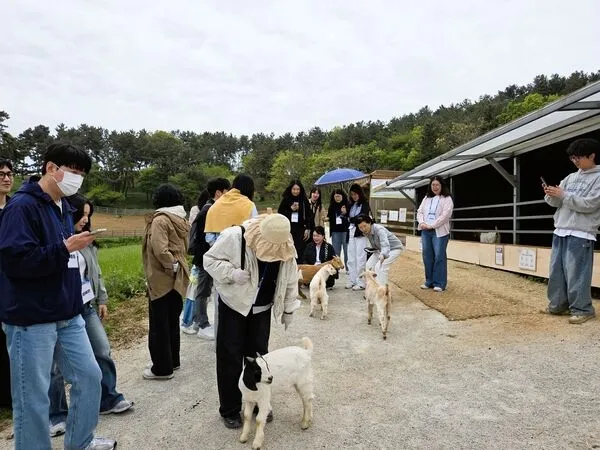 직무 스트레스 해소…장성군, 민원공무원 대상 ‘힐링교육’ - 행정 | 코리아NEWS
