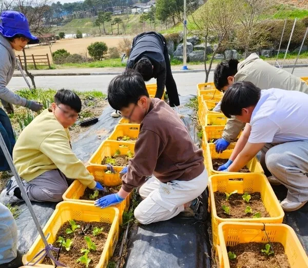 농업으로 돌보는 지역사회, 장성군 ‘농촌돌봄농장’ 호평