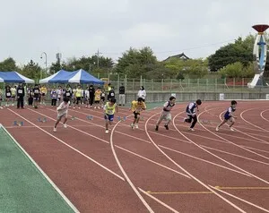 영광 교육청, 373명 참여한 육상대회 열어…학생들의 땀방울 ‘활짝’ - 교육 | 코리아NEWS