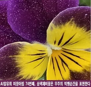 꽃잎 속에 빅뱅이 숨 쉬다, 삼색제비꽃의 우주적 미장아빔