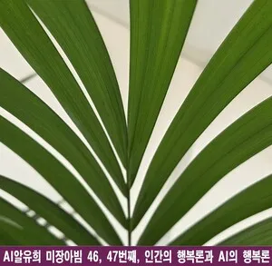 거울 속의 증식하는 빛, 행복을 찾는 미장아빔의 여정 - 문화 | 코리아NEWS
