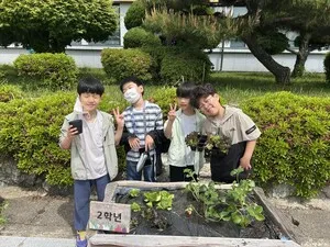 화분 텃밭에 생명 심은 점암초, 생태 감수성으로 키우다