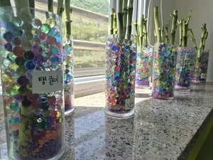 광양가야초, 이동 없이 안전한 ‘교실로 찾아오는 오감만족 진로체험’ 성료