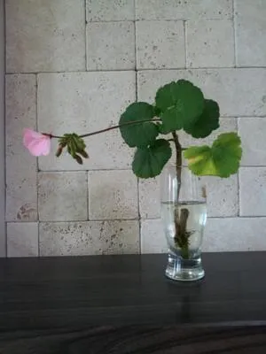 선생님, 사랑해요! 1학년 동훈이가 건넨 행복한 전화 한 통
