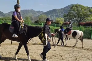 말과 교감하고 미래를 꿈꾸다, 계산초 ‘승마 진로 체험’