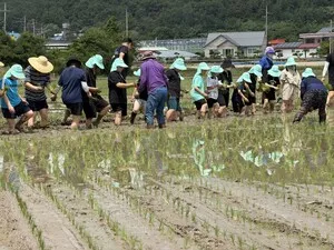 초등생들의 신나는 모내기, 교육발전특구 공동교육의 현장