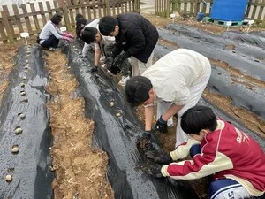 노안남초, 고사리 손으로 초록빛 꿈을 심다…‘학교 텃밭 가꾸기’ 본격 시동