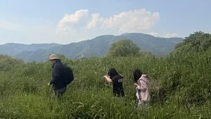 섬진강 조약돌에 꿈을 적어요, 고달초의 생태감수성 교육