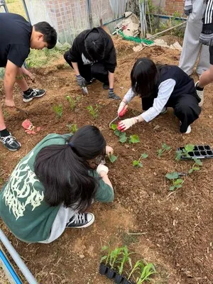 우수영중, 텃밭 가꾸기로 배우는 생생한 탄소중립 실천