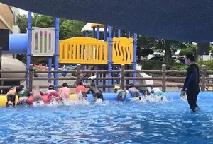 목포교육청, 428명 대상 '생명 지키는 이동형 생활수영' 운영