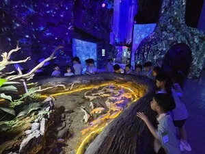 바닷속 친구들과의 만남! 구례북초유치원, 아쿠아플라넷 체험학습 - 교육 | 코리아NEWS