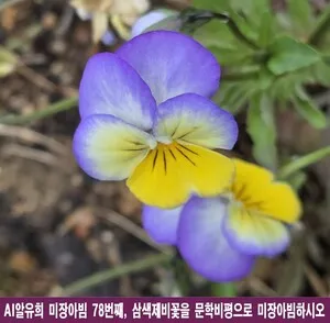 거울 속에 핀 삼색제비꽃, 10가지 문학비평으로 읽는 우주의 미장아빔