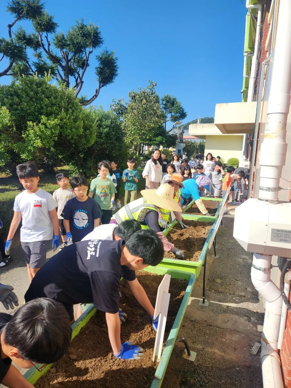 담양 월산초, 시니어클럽 어르신과 쪽파 심기 세대통합 교육
