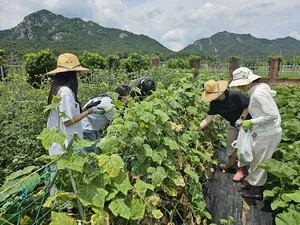 도암초 교사 생태 동아리, 텃밭 가꾸며 ‘생태 전환 교육’ 실천