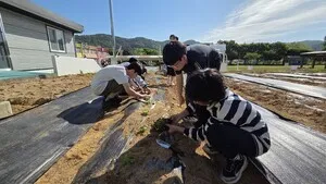 천태초, ‘하늘별 텃밭’서 초록빛 꿈 심으며 생태 감수성 키워