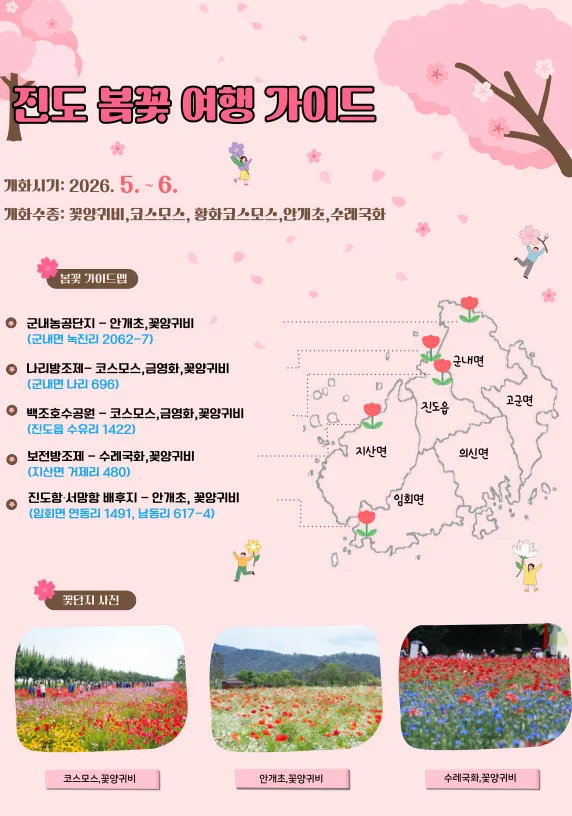 형형색색 꽃향기 가득한 진도, 늦봄 최고의 명소로 변신