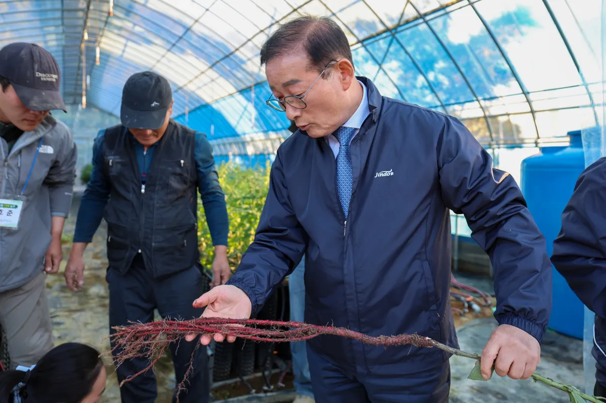 진도군, 수확 앞둔 지초 재배 농가 현장 방문해 애로사항 청취
